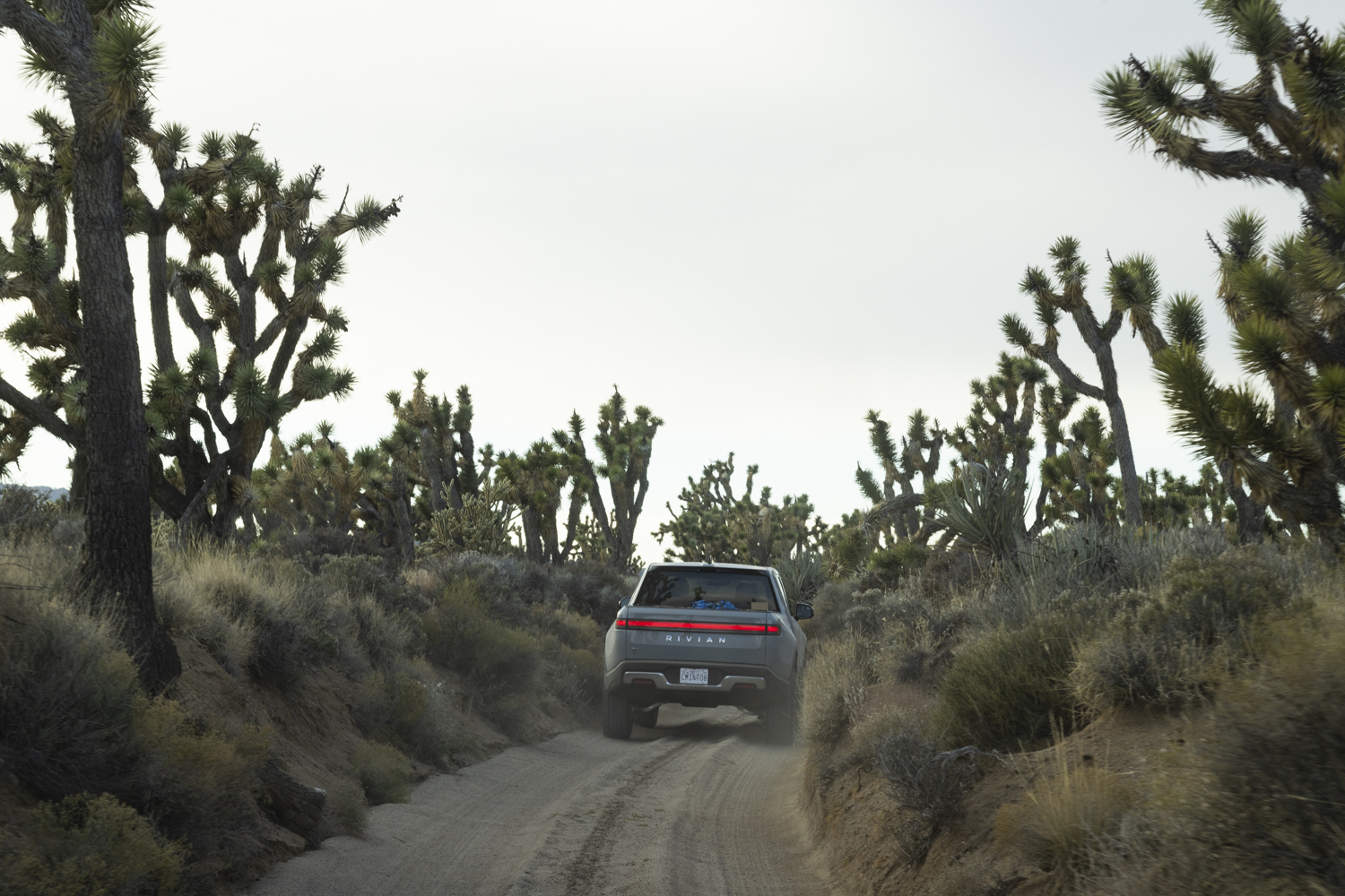 Rivian R1T R1S The Mojave Road_Trip Report _02a3407.JPG