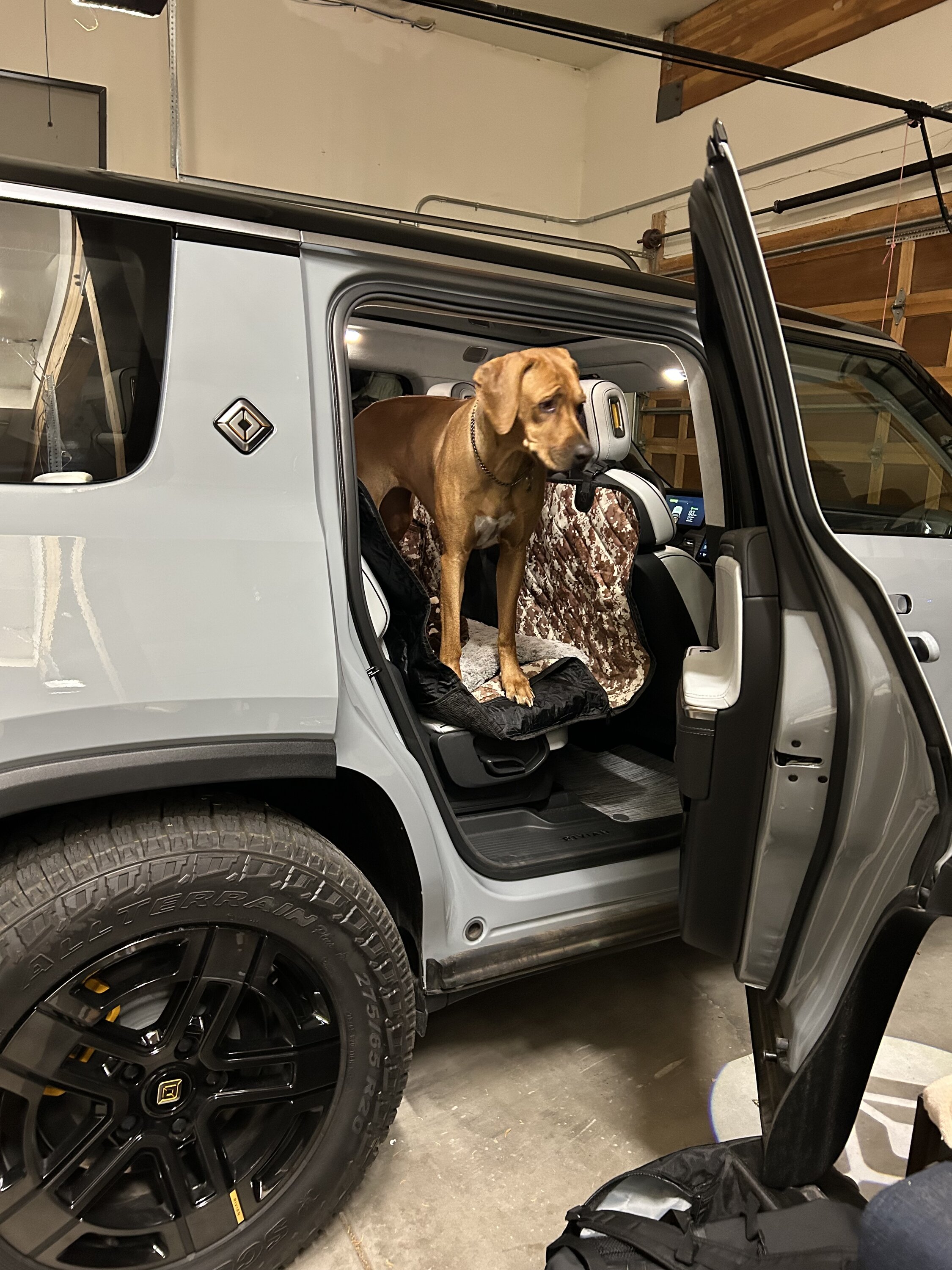 Rivian R1T R1S Dogs and Rivians 🐾 IMG_0800