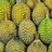Durian