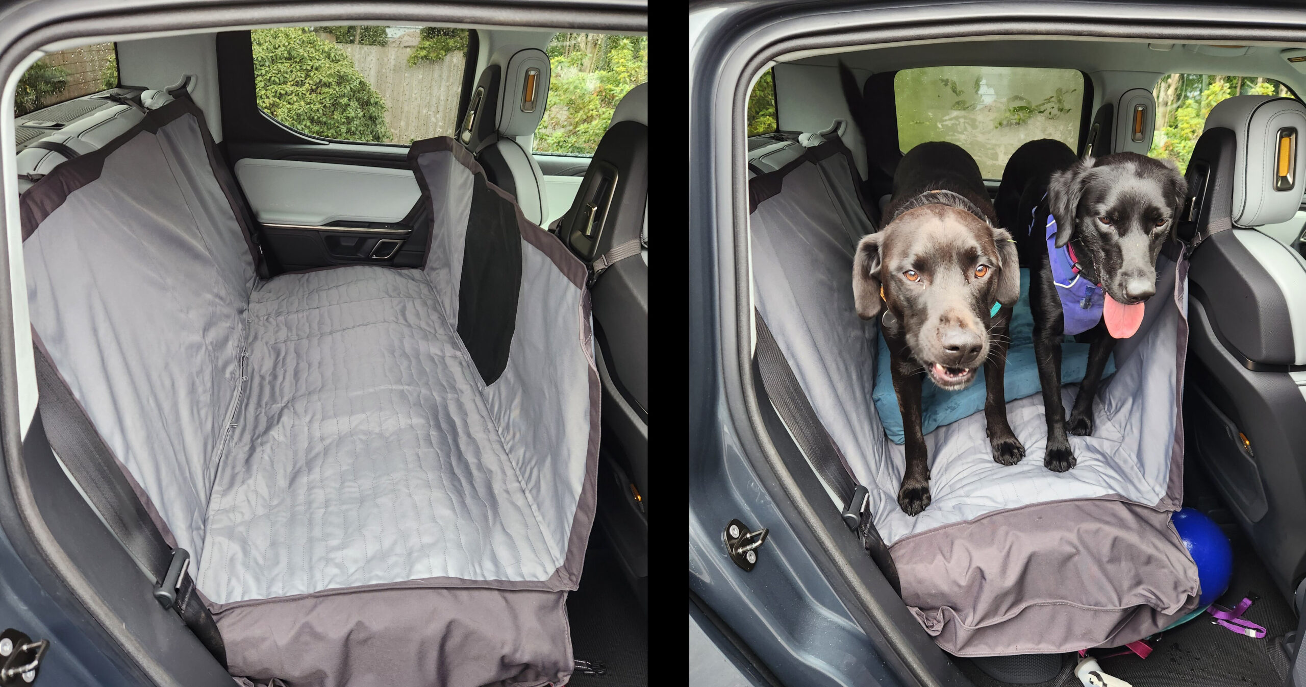 Orvis Dog Hammock Car Seat Cover Reviews - Paw of Approval - The Dodo